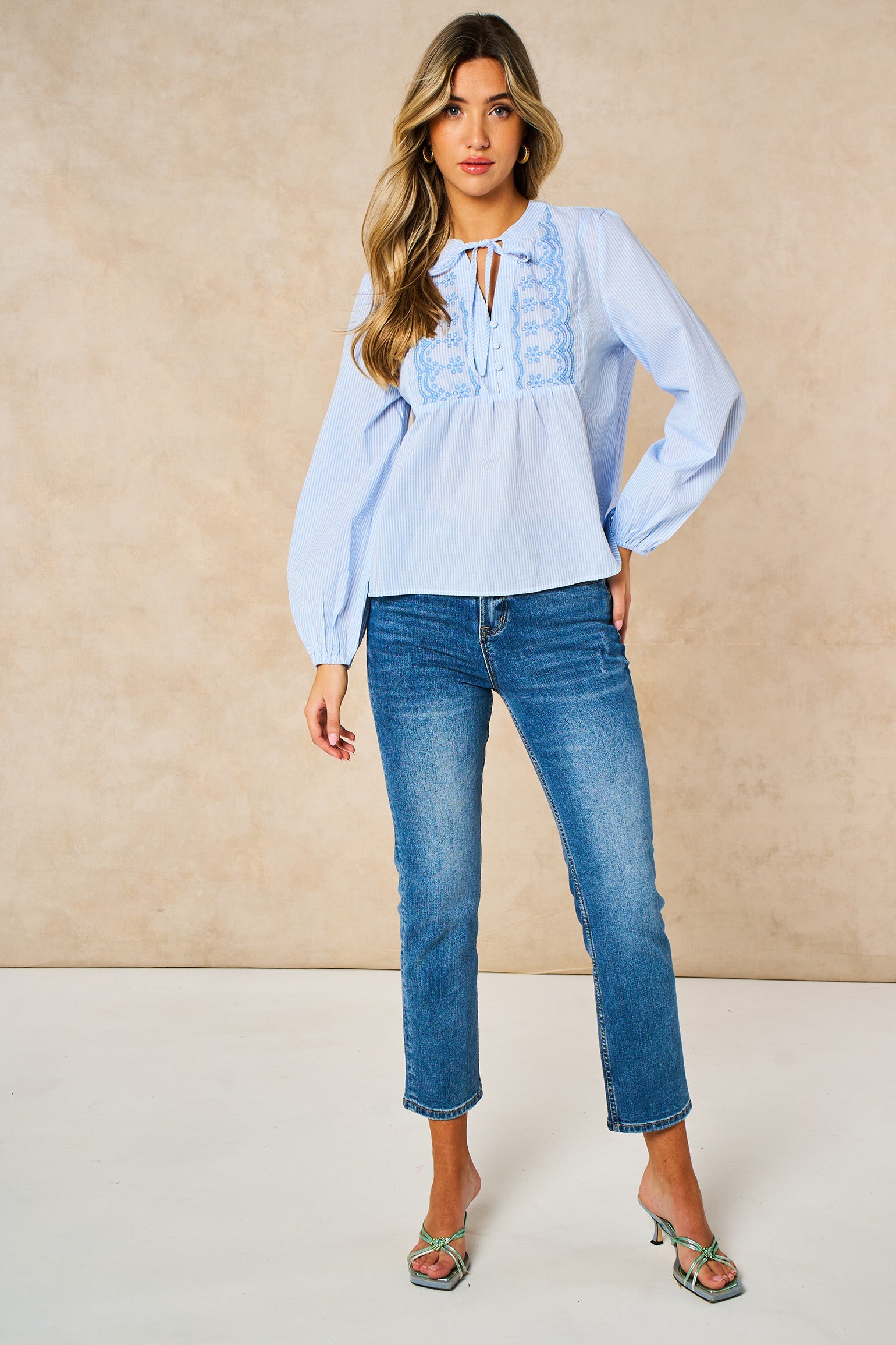 Embroidered-Pinstripe-Long-Sleeve-Cotton-Shirt-in-Blue-Front