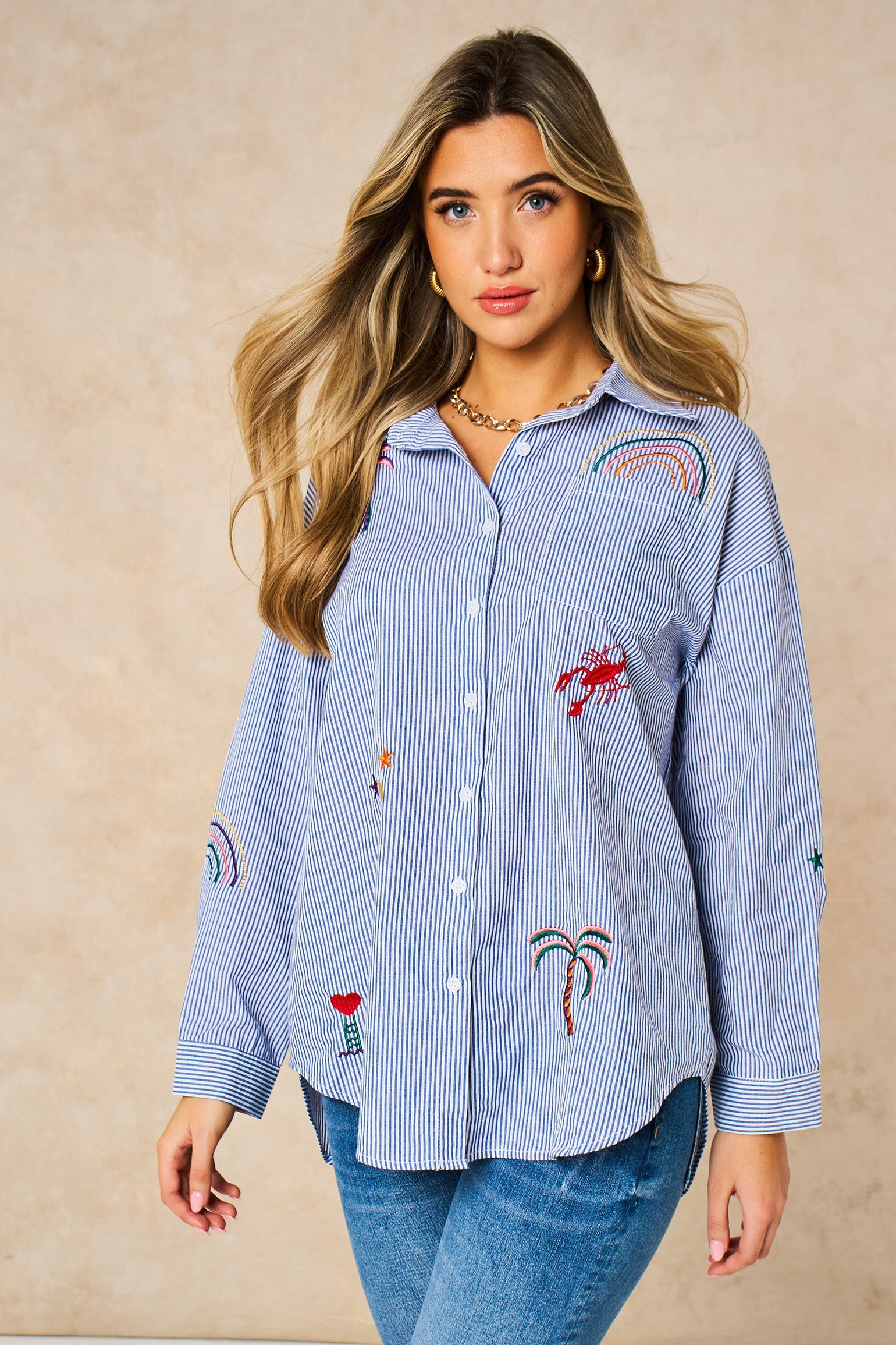 Embroidered-Striped-Long-Sleeve-Cotton-Shirt-in-Blue-Front