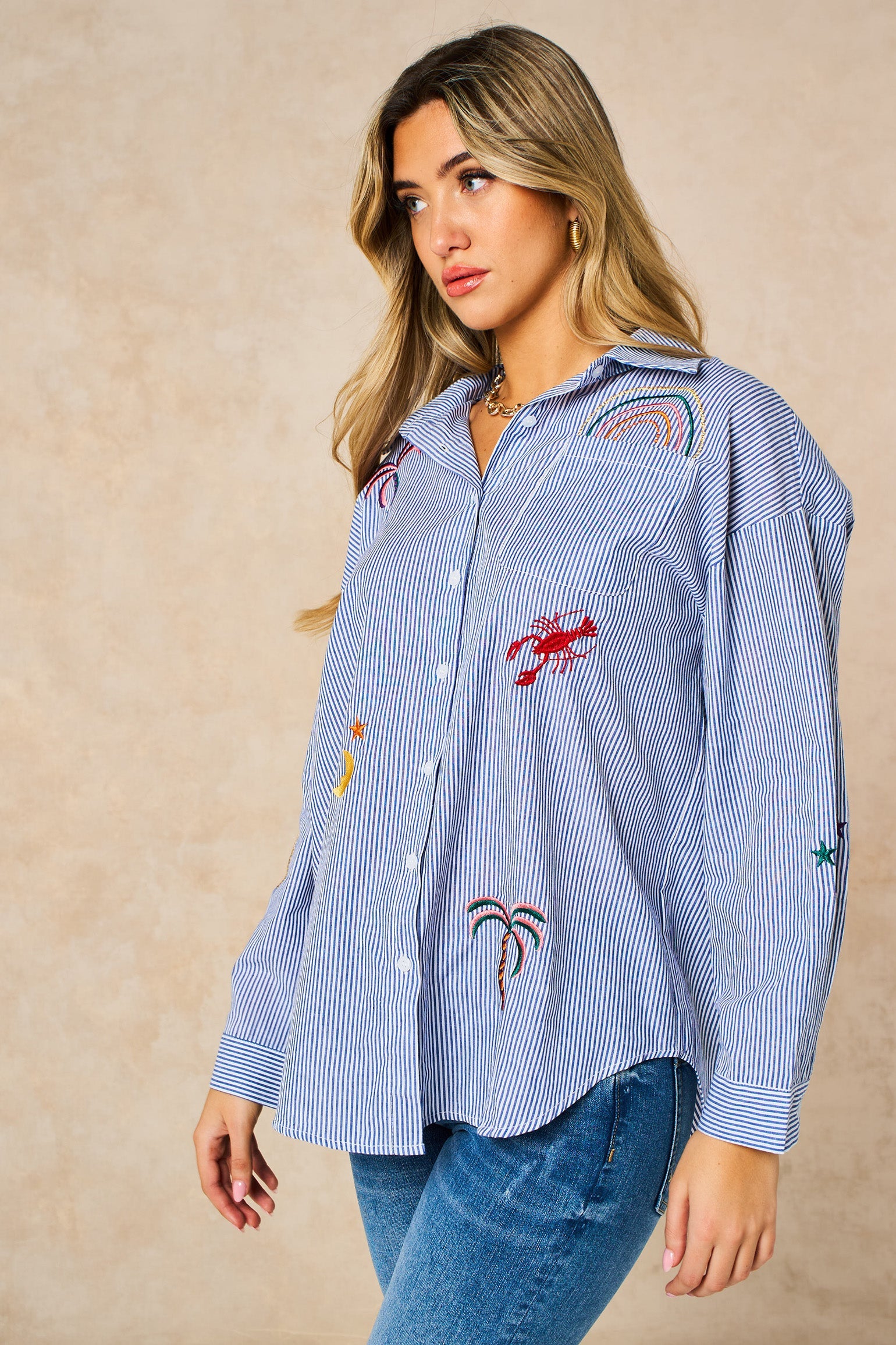 Embroidered-Striped-Long-Sleeve-Cotton-Shirt-in-Blue-Side