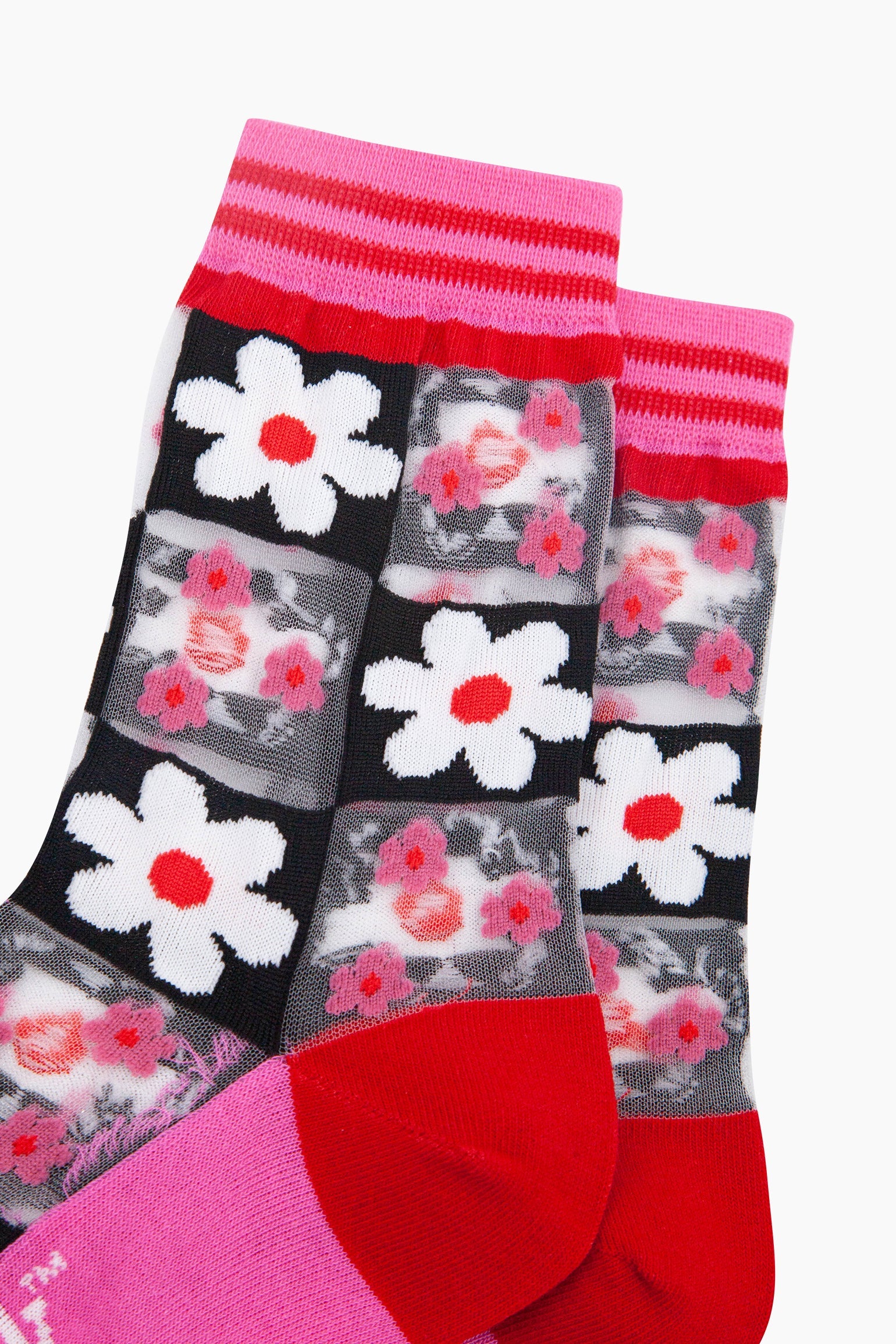 Daisy-Checkerboard-Combed-Cotton-Sheer-Pop-Socks-in-Pink-Closeup