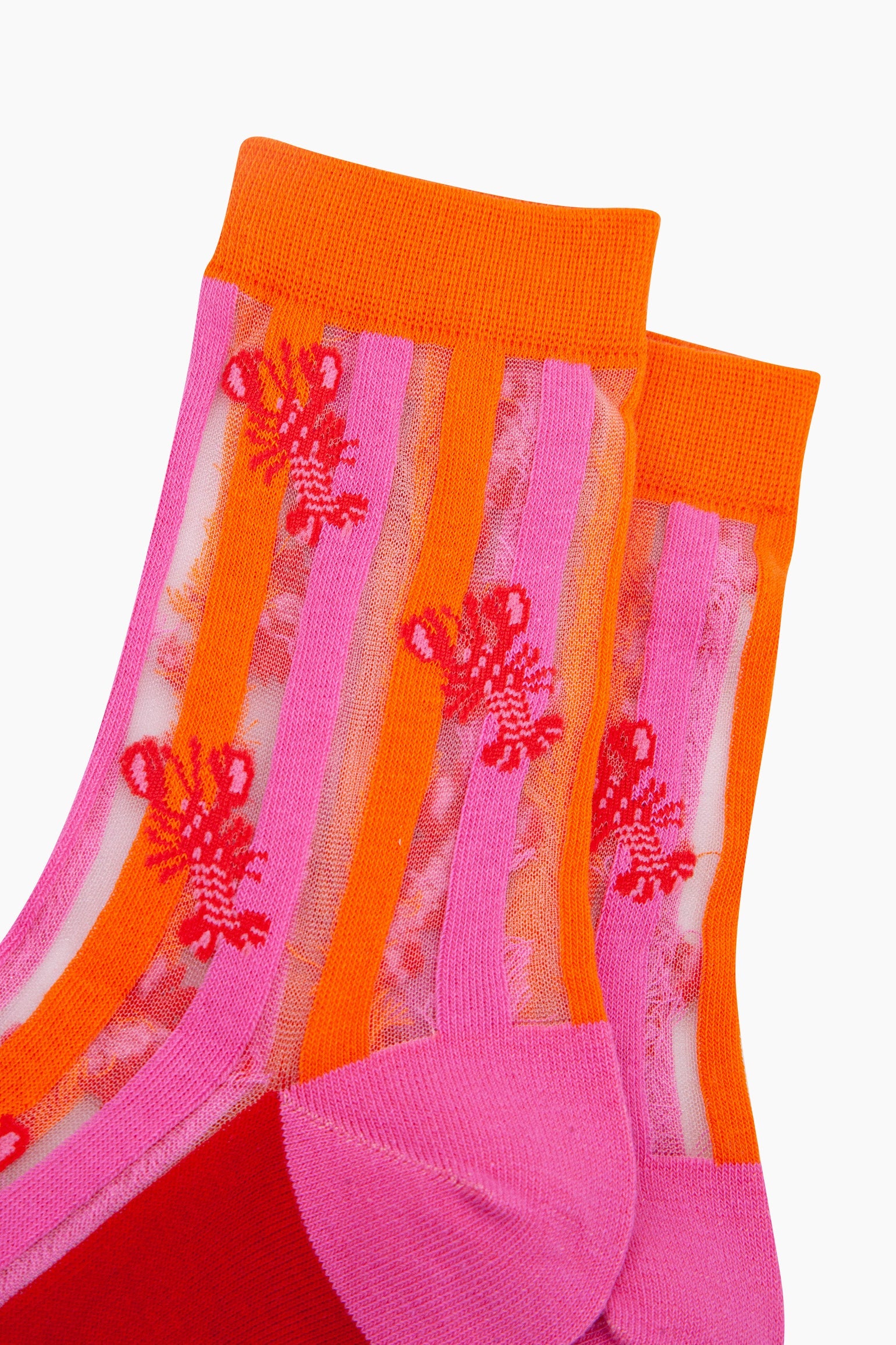 Lobster-Stripes-Combed-Cotton-Sheer-Pop-Socks-in-Pink-Red-Closeup