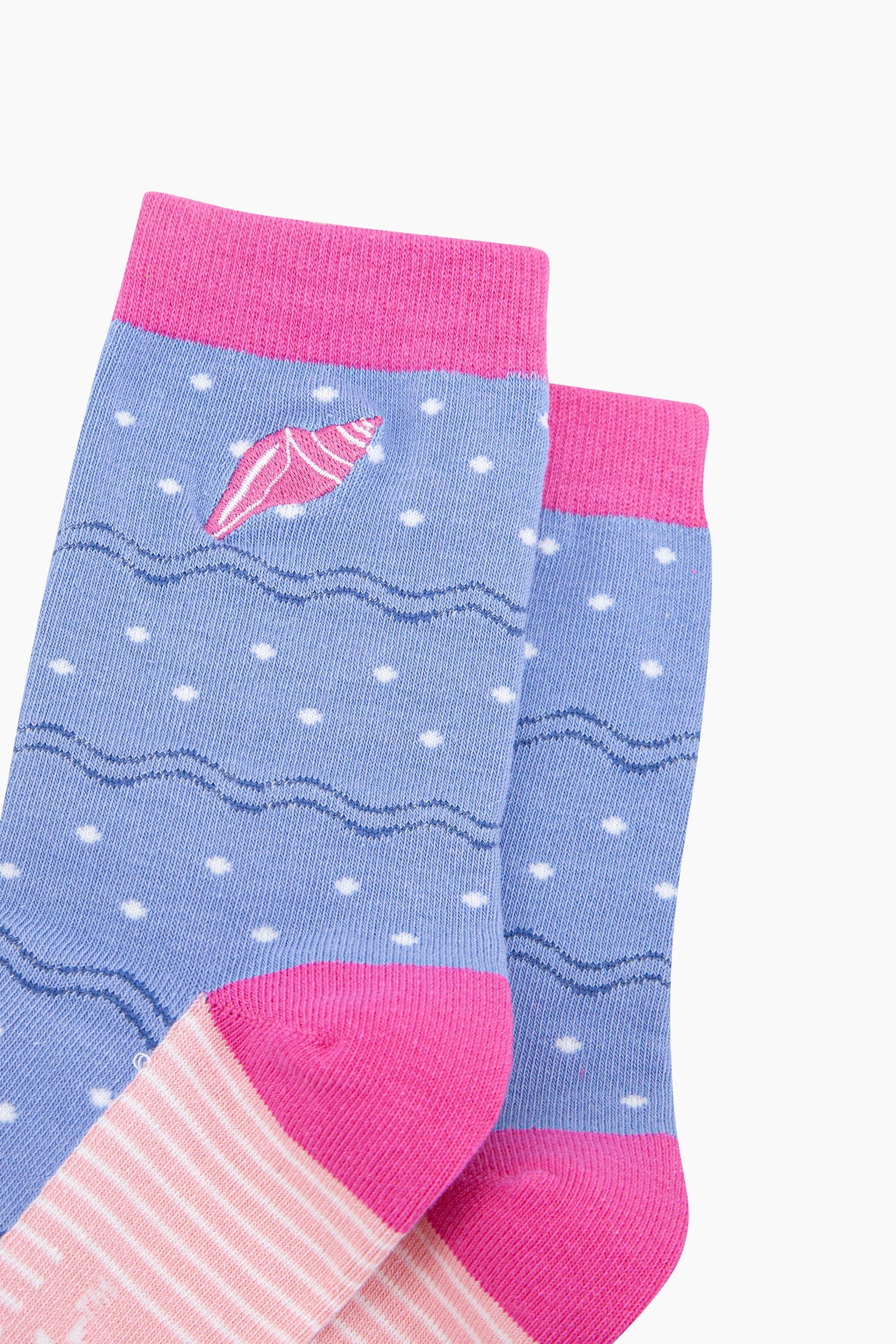 Embroidered-Conch-Shell-Combed-Cotton-Socks-in-Blue-Pink-Closeup