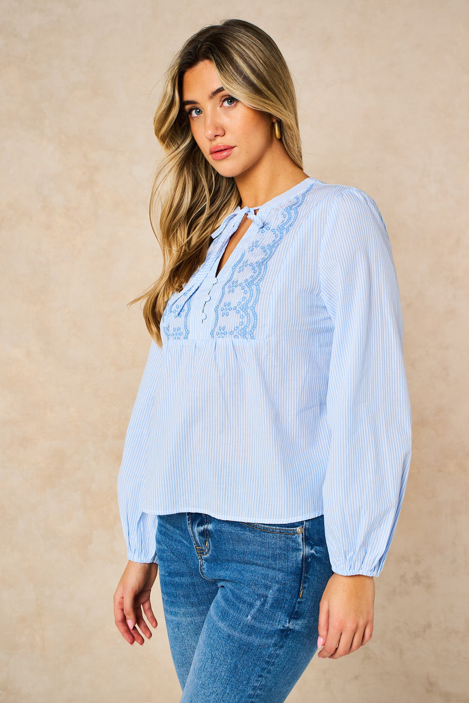 Embroidered-Pinstripe-Long-Sleeve-Cotton-Shirt-in-Blue-Side